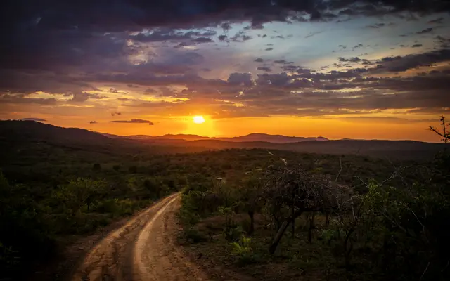 Dirt track winding through open bushland toward a sunset